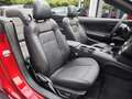 Ford Mustang GT Premium Convertible 5.0 V8*NAVI*LEDER* Rosso - thumbnail 15