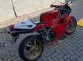 Ducati 996 Superbike Rot - thumbnail 8