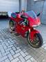 Ducati 996 Superbike Rot - thumbnail 6