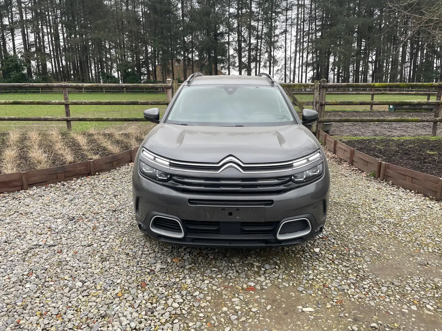 Citroen C5 Aircross 1.5 BlueHDi Shine S Gris - 2