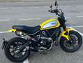 Ducati Scrambler Icon Jaune - thumbnail 2