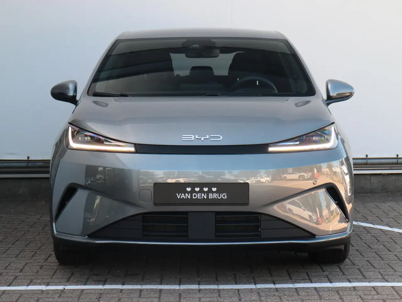 BYD Dolphin G 2026