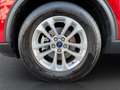 Ford Kuga 2.5 FHEV Aut., MFL I LED I Tempomat I Kamera Rot - thumbnail 3