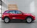 Ford Kuga 2.5 FHEV Aut., MFL I LED I Tempomat I Kamera Rot - thumbnail 7