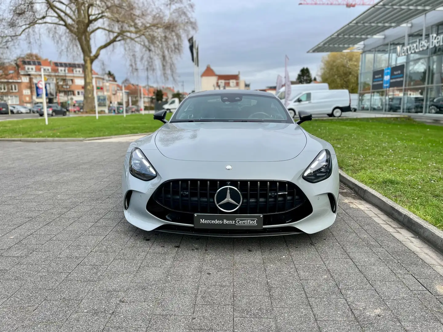 Mercedes-Benz AMG GT AMG GT 63 4-Matic+ Gris - 2