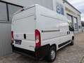 Opel Movano C L2H2 3,5t Edition Tempo DAB Lordo Klima White - thumbnail 15