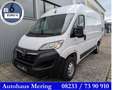 Opel Movano C L2H2 3,5t Edition Tempo DAB Lordo Klima White - thumbnail 1
