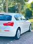 BMW 116 C.L. Executive Wit - thumbnail 10