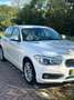 BMW 116 C.L. Executive Wit - thumbnail 6