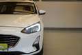 Ford Focus Turnier 1.5 EcoBl. "Titanium" AHK*R-KAM*W-PAKET Weiß - thumbnail 10