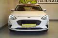 Ford Focus Turnier 1.5 EcoBl. "Titanium" AHK*R-KAM*W-PAKET Weiß - thumbnail 9