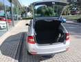 Skoda Rapid/Spaceback 1.2 TSI Greentech Ambition Businessline Pro Gris - thumbnail 5