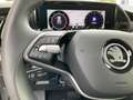 Skoda Kodiaq Selection 4x4 2.0 TDI HUD Matrix Kamera N Schwarz - thumbnail 19