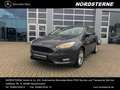 Ford Focus Ford Focus TEMPOMAT+MULTIFUNKTIONSLENKRAD Grigio - thumbnail 1