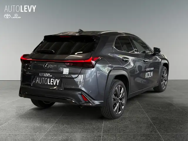 Lexus Ux view 6