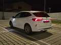 Ford Kuga St-Line X PHEV Bianco - thumbnail 5