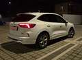 Ford Kuga St-Line X PHEV Bianco - thumbnail 8