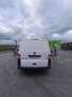 Volkswagen Transporter Furgón 2.0TDI Techo Normal 102 - thumbnail 10