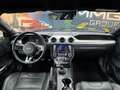 Ford Mustang Mustang Fastback 5.0 V8 TiVCT GT Verde - thumbnail 10