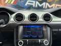 Ford Mustang Mustang Fastback 5.0 V8 TiVCT GT Verde - thumbnail 13