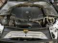 Mercedes-Benz C 250 D 4Matic T 9G-TRONIC Exclusive 360 Kamera TUV neu - thumbnail 14