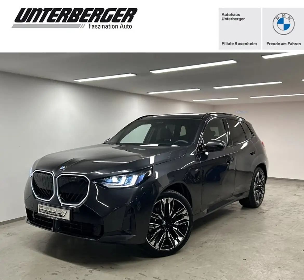 BMW X3 xDrive30e  M Sportpaket HK AHK DA Prof Glasdach Ad Grau - 1