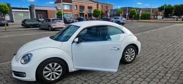 Beetle 1.6