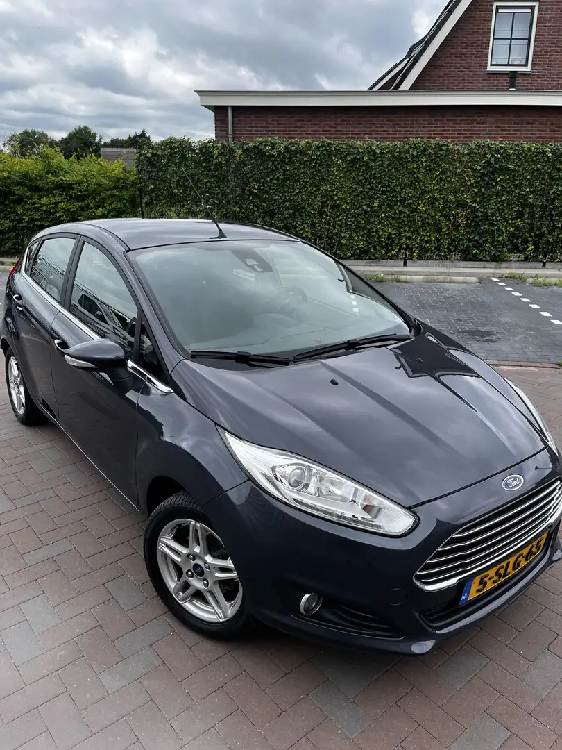 Ford Fiesta 1.0 EcoB. Titanium Grijs - 1