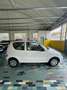 Fiat 600 1.1 Active (class) ESEGUITI MOLTI LAVORI - thumbnail 5
