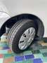 Fiat 600 1.1 Active (class) ESEGUITI MOLTI LAVORI - thumbnail 16