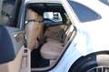 Porsche Macan S/360*/PANO/BOSÉ/4xSHZ/AHK/ACC/LHZ/SBL/R20 Weiß - thumbnail 18