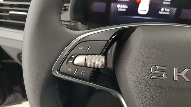 Skoda Kamiq view 12
