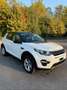 Land Rover Discovery Sport 4x4 - Automatico Wit - thumbnail 2