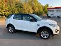 Land Rover Discovery Sport 4x4 - Automatico Wit - thumbnail 1