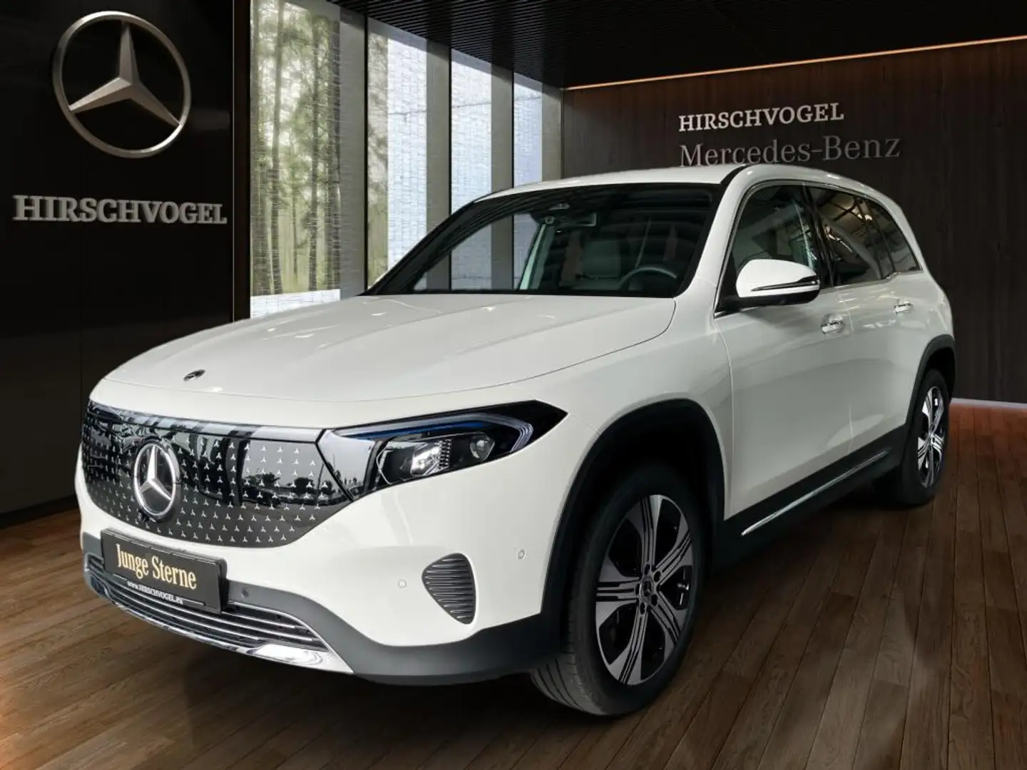 Mercedes-Benz EQB 250 + Electric Art+3. Sitzreihe+DISTRO+Memory Blanco - 2
