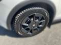 Suzuki Ignis 1.2 Shine ALLGRIP Weiß - thumbnail 10