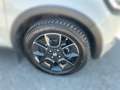 Suzuki Ignis 1.2 Shine ALLGRIP Weiß - thumbnail 8