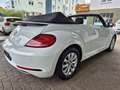 Volkswagen Beetle 2.0 TDI Design Cabriolet PDC/NAVI Weiß - thumbnail 5