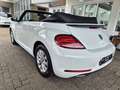 Volkswagen Beetle 2.0 TDI Design Cabriolet PDC/NAVI Weiß - thumbnail 7