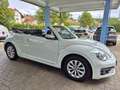 Volkswagen Beetle 2.0 TDI Design Cabriolet PDC/NAVI Weiß - thumbnail 4