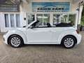 Volkswagen Beetle 2.0 TDI Design Cabriolet PDC/NAVI Weiß - thumbnail 8