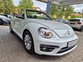 Volkswagen Beetle 2.0 TDI Design Cabriolet PDC/NAVI Weiß - thumbnail 3