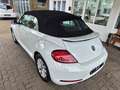Volkswagen Beetle 2.0 TDI Design Cabriolet PDC/NAVI Weiß - thumbnail 9