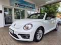 Volkswagen Beetle 2.0 TDI Design Cabriolet PDC/NAVI Weiß - thumbnail 1