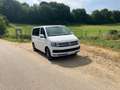 Volkswagen T6 Multivan Multivan Kurz Comfortline Weiß - thumbnail 2