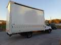 Iveco Daily 35C16H 3.0 HPT Cabinato Passo 4100 mm centinato Blanc - thumbnail 6