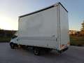 Iveco Daily 35C16H 3.0 HPT Cabinato Passo 4100 mm centinato Blanc - thumbnail 4