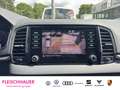 Skoda Karoq Tour 1,5 TSI 110 kW DSG AHK Navi El.Heckklappe LED Grau - thumbnail 19