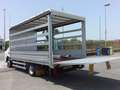 Iveco Daily 35C15 CASSONE PEDANA 10 KG SPONDA IDRAULICA Blanco - thumbnail 22
