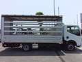 Iveco Daily 35C15 CASSONE PEDANA 10 KG SPONDA IDRAULICA Bianco - thumbnail 14